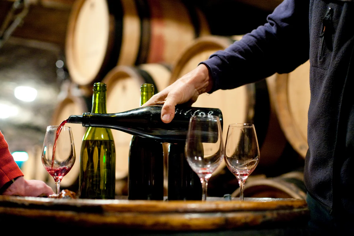 Pouring wine in a Burgundy cellar