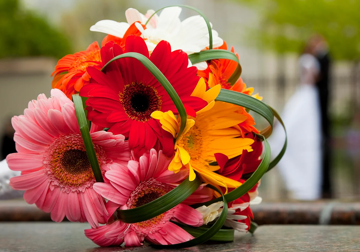 Gerbera wedding bouquet
