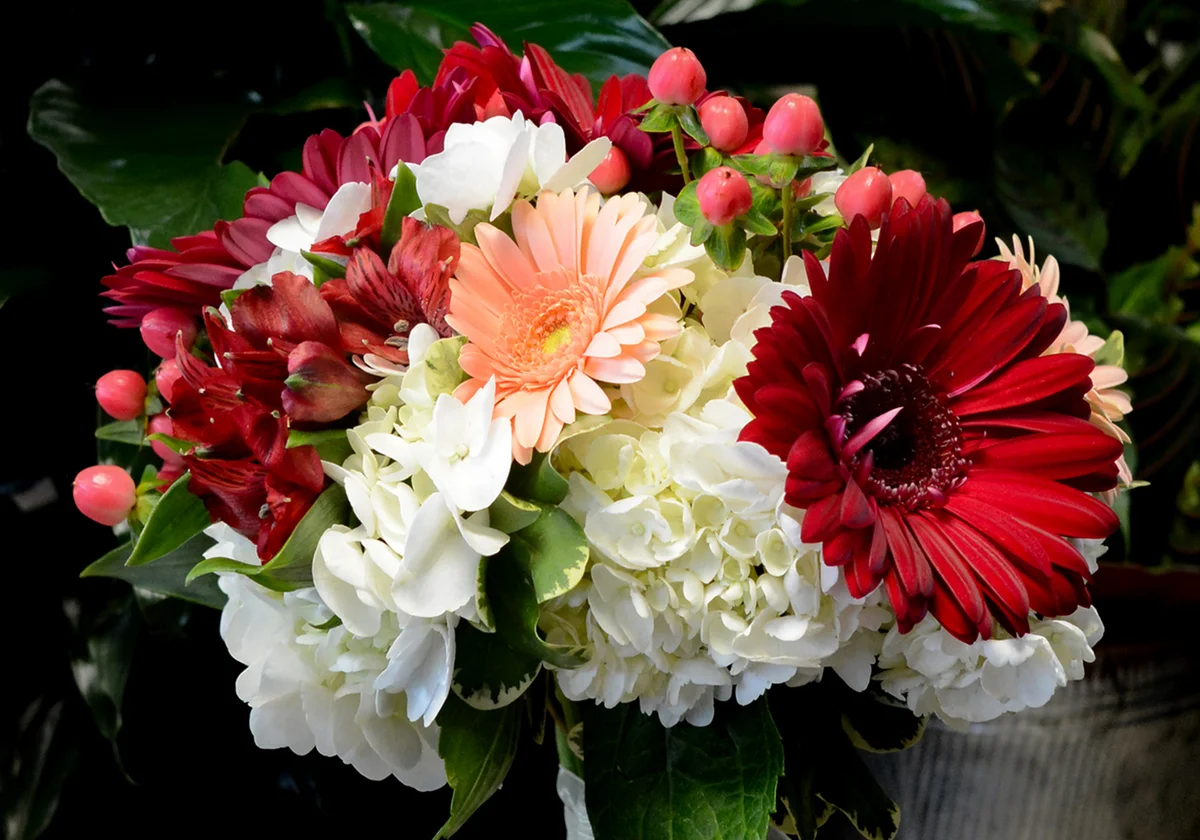Wedding bouquet of burgundy and peach