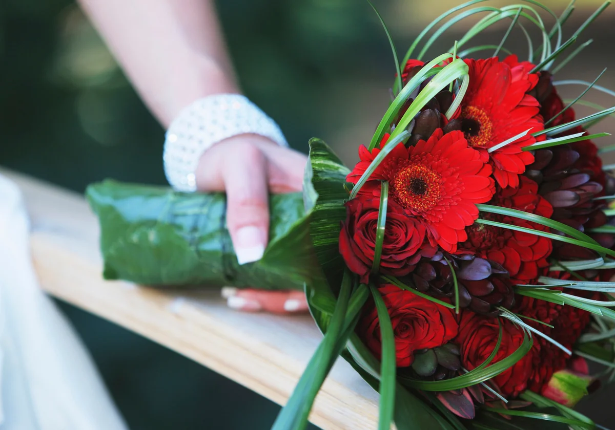 Bridal bouquet of bold red Gerbera daisies
