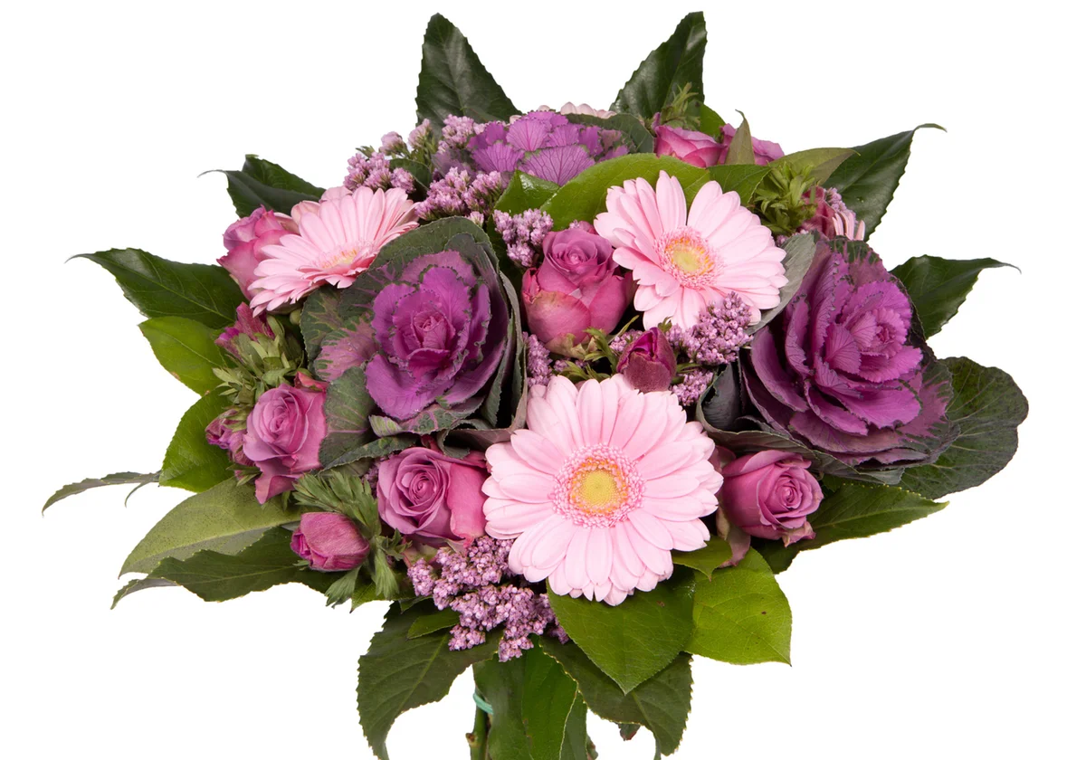 Bouquet of purple and pink flowers