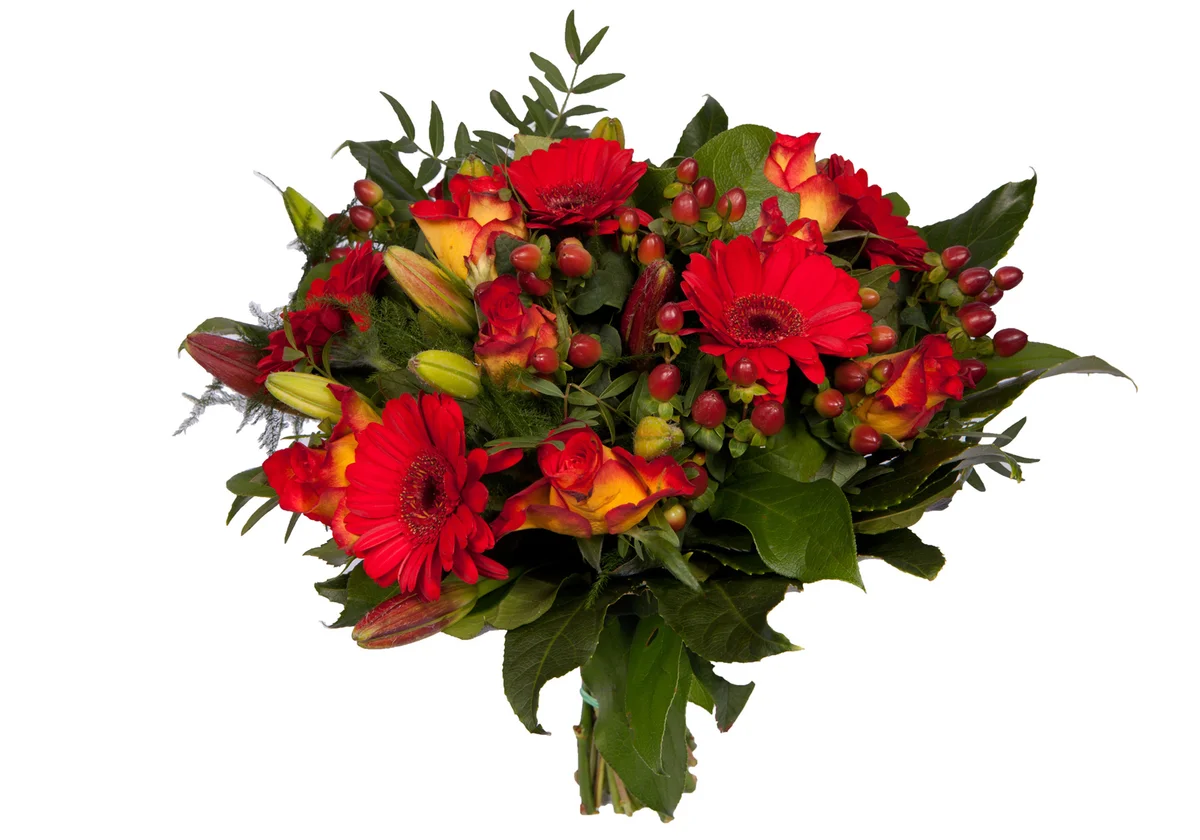 red Gerbera bouquet