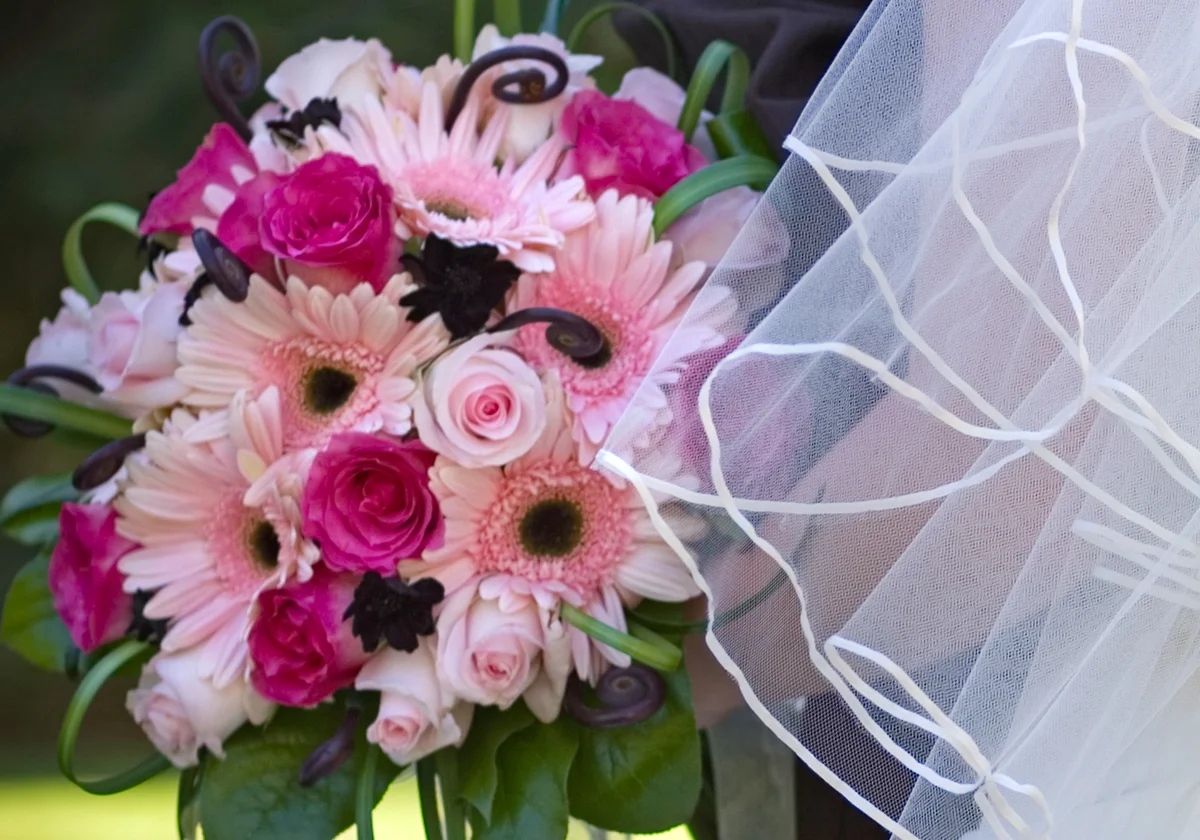 pale pink Gerbera bouquet