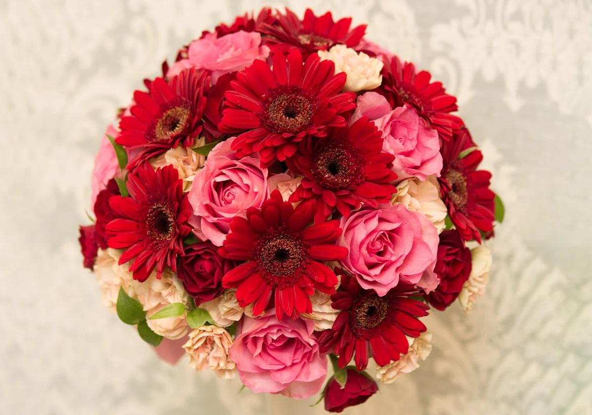 Burgundy Gerbera round bouquet