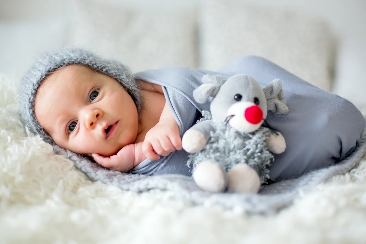 newborn baby boy swaddled in a blanket with a toy