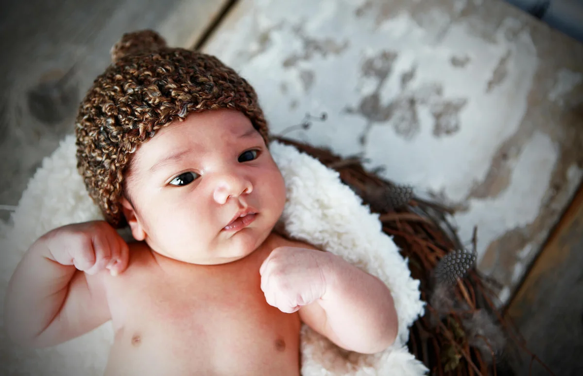 Newborn Baby in Nest