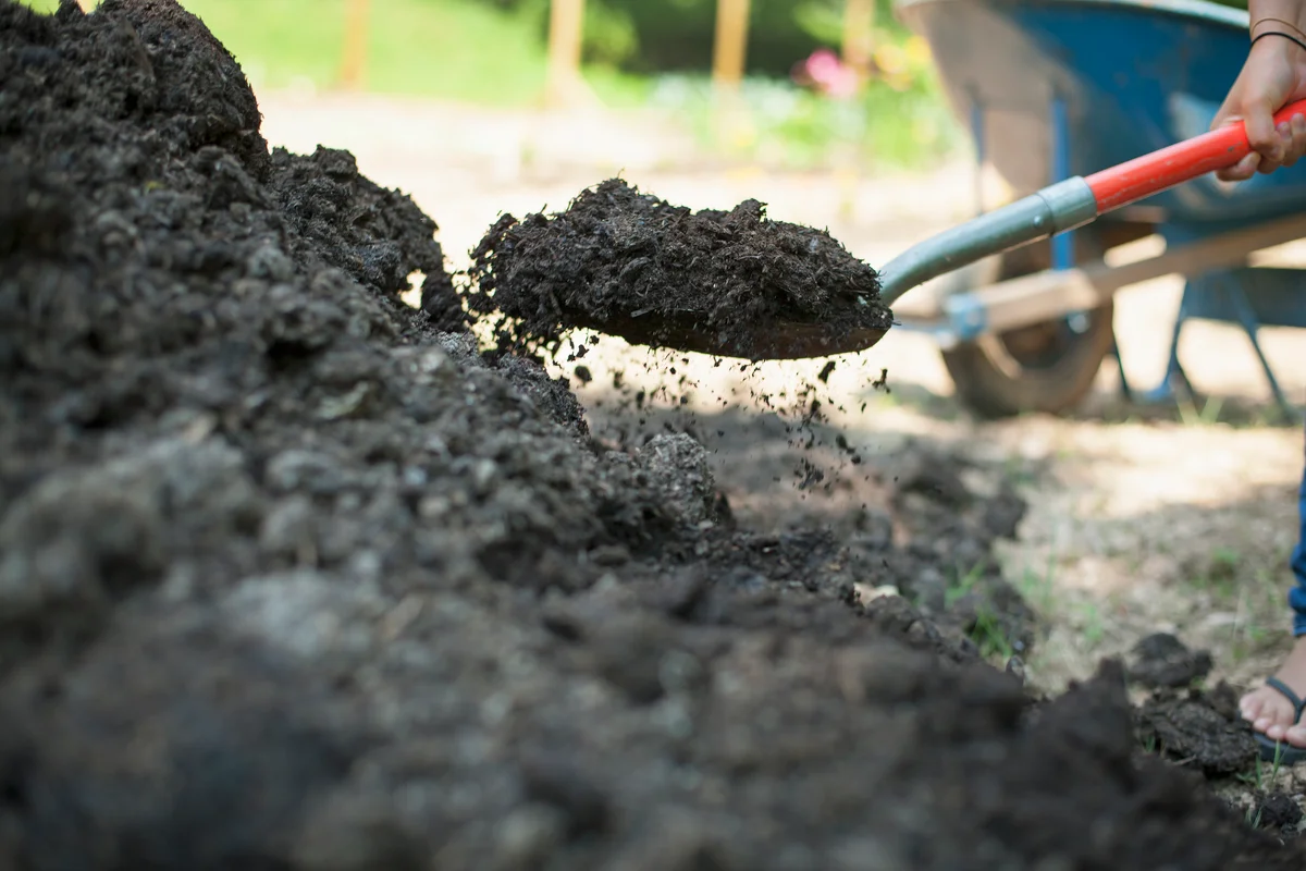 Shovel garden soil