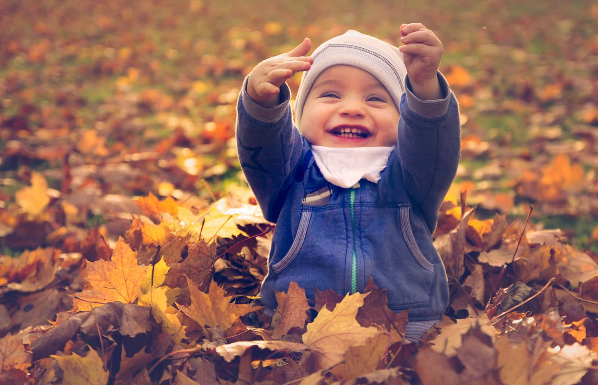 happy boy sitting in autumn leaves