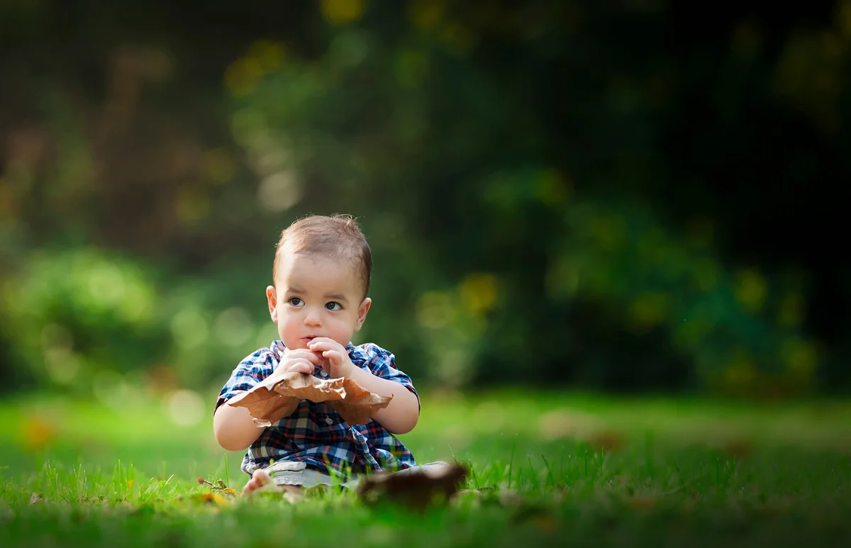 Beautiful Fraternal Twin Baby Plays with a Leaf in the Sun