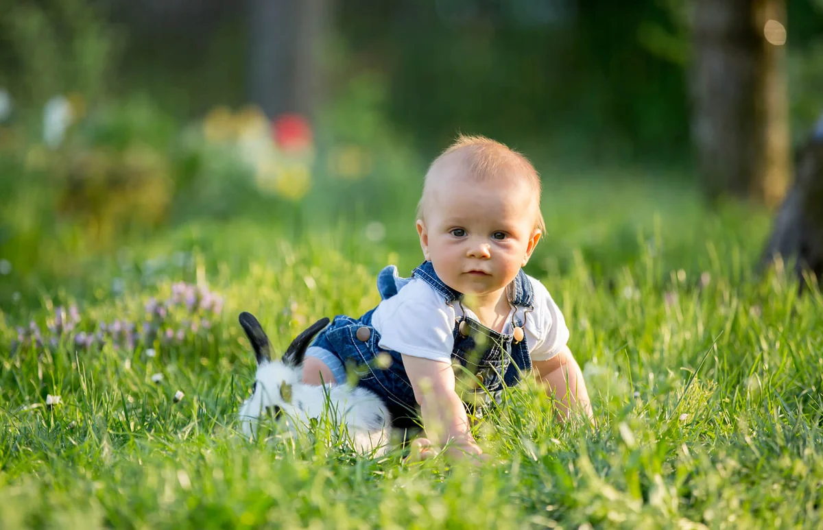 Sweet toddler baby boy with his little bunny