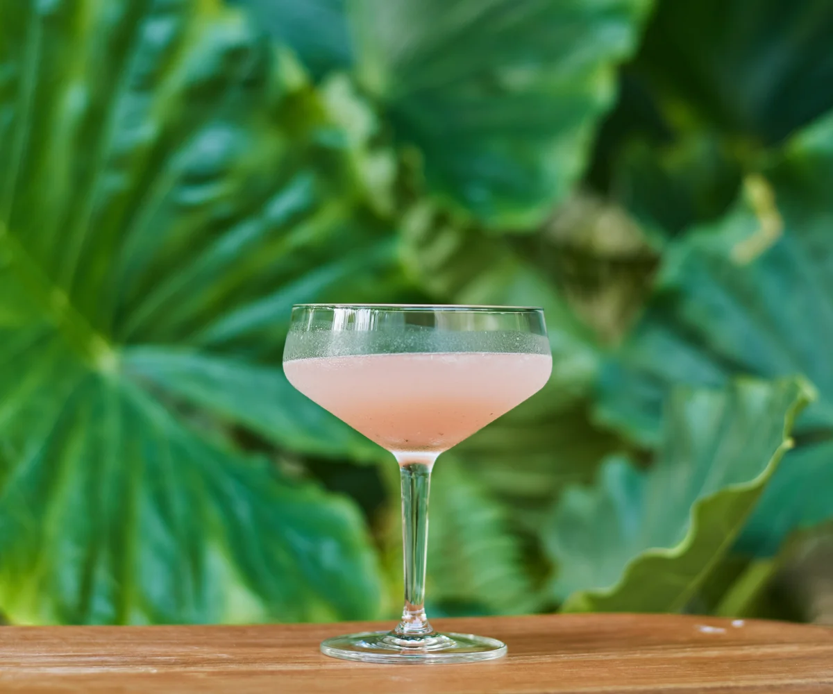 Papa Doble frozen daiquiri