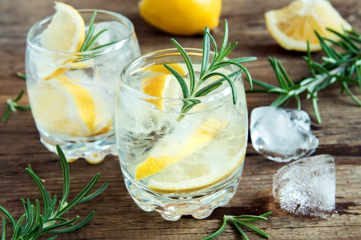 Gin and tonic cocktail