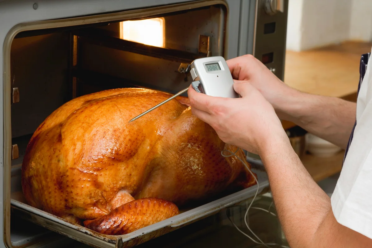 Checking turkey in oven with meat thermometer