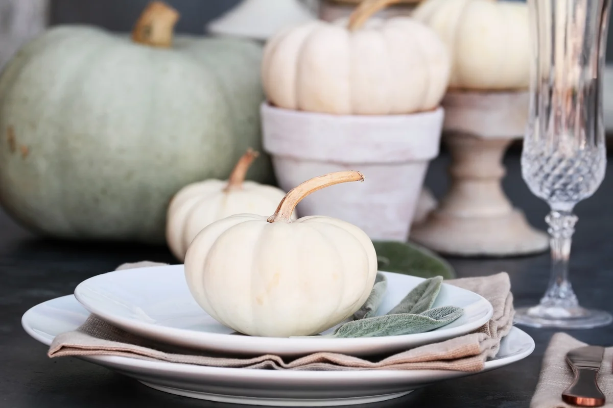 Farmhouse style Thanksgiving table setting with white pumpkins