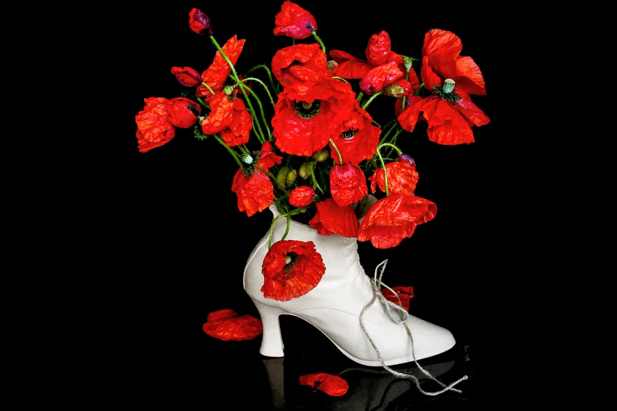 Poppy Flowers In Shoe Shape Vase