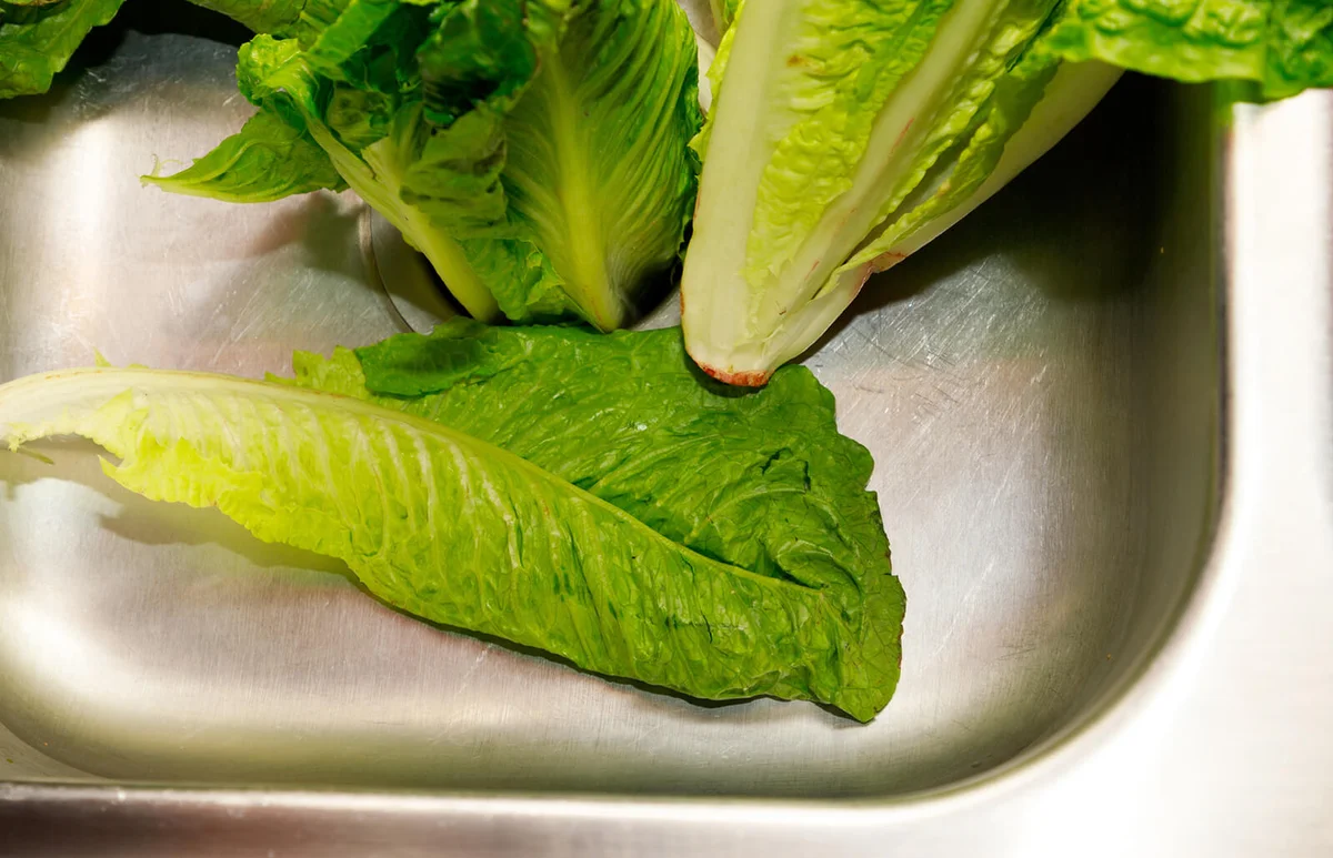 Romaine Lettuce Thrown Away