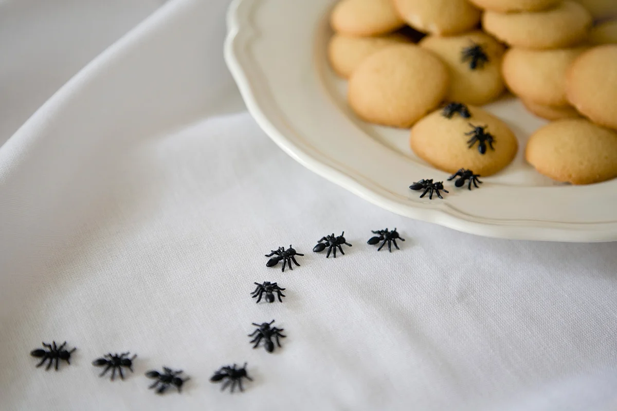 fake ant prank on cookies