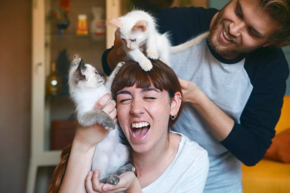Young couple with kittens at home
