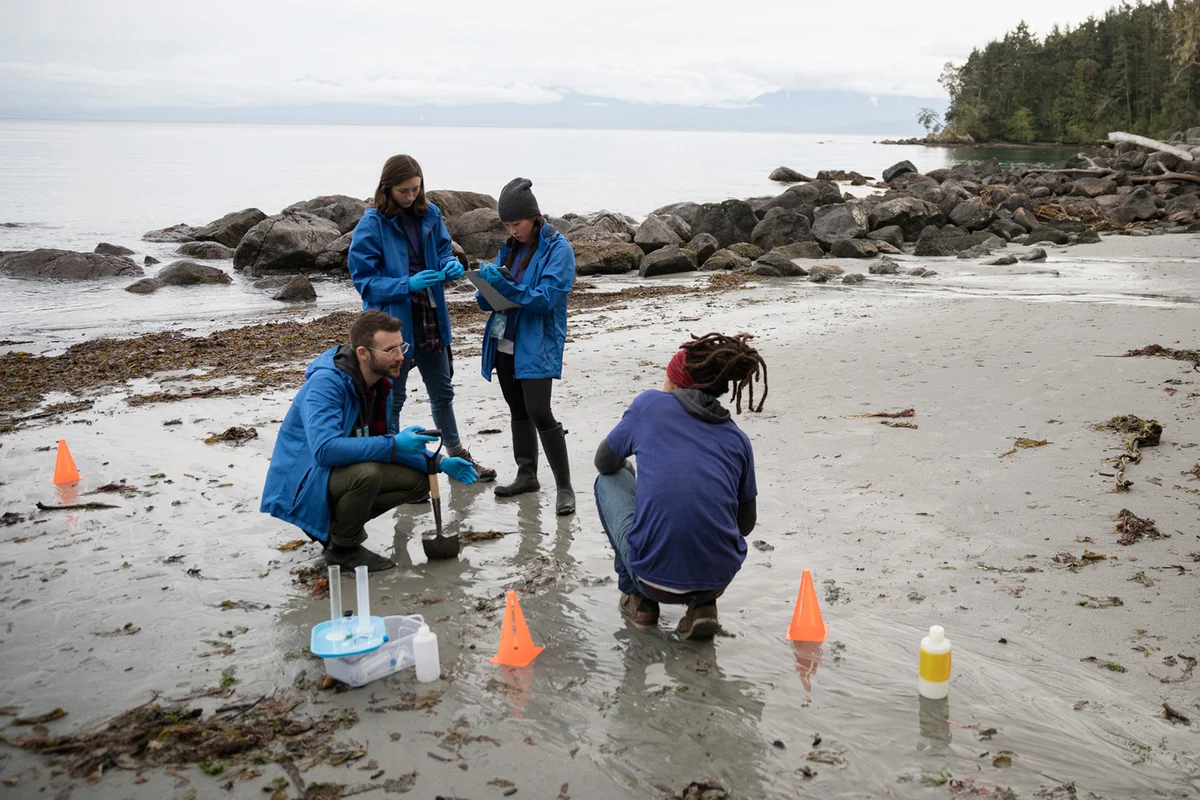 Marine biologists testing at beach
