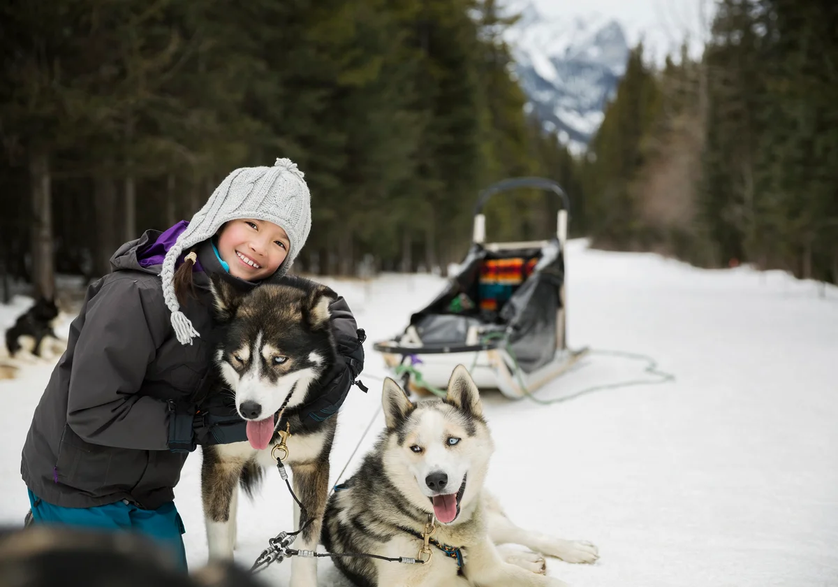 Portrait of girl hugging dogsled dog in snow