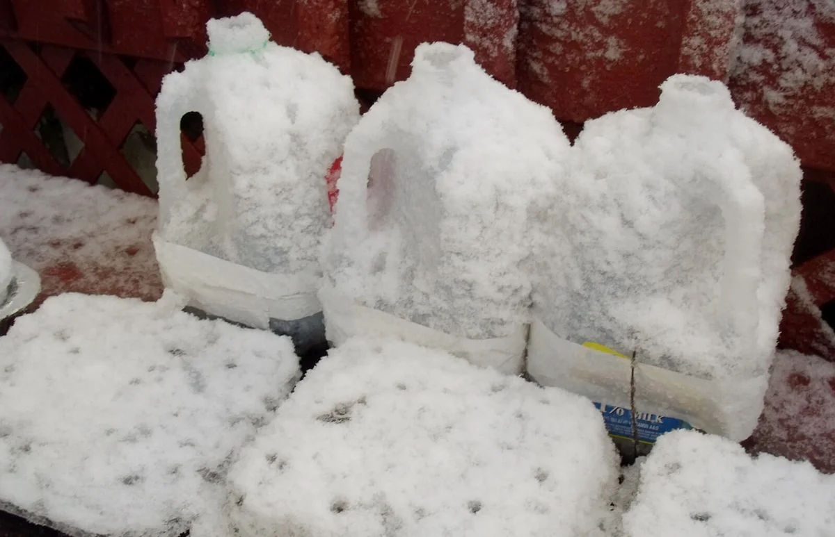 Examples of common Winter Sowing containers