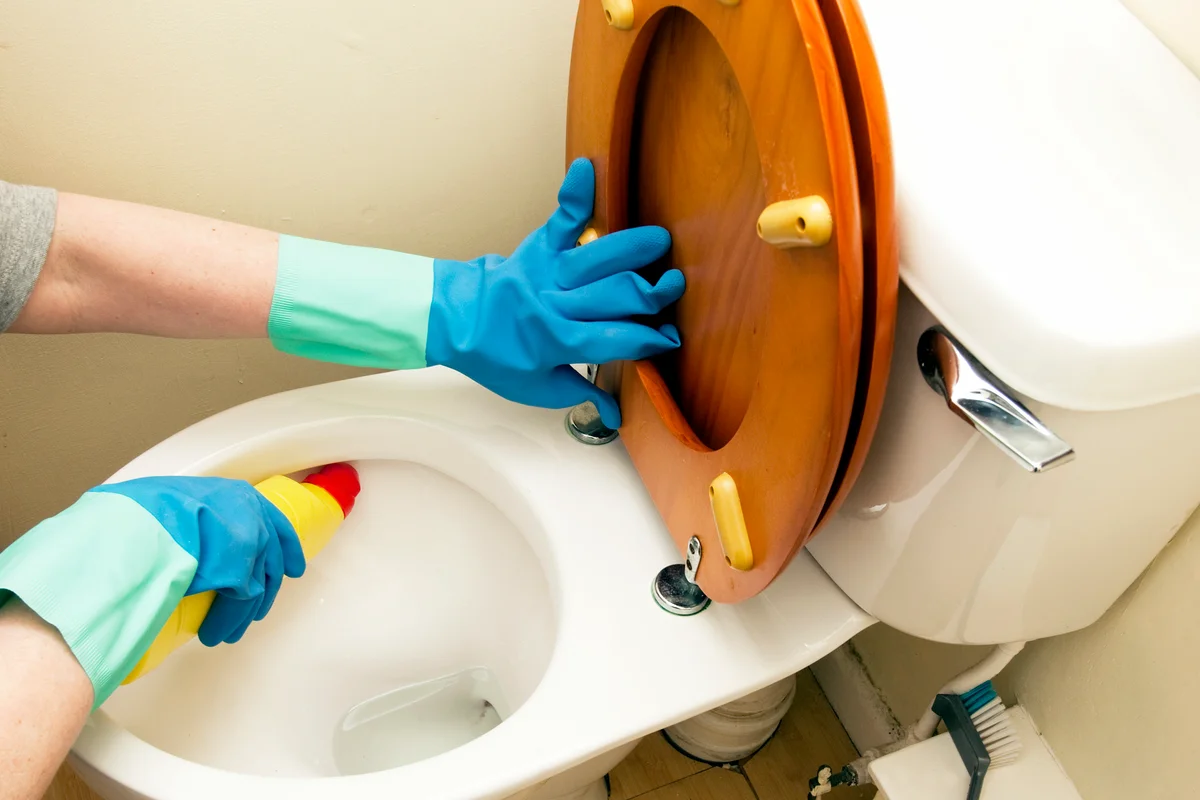 Cleaning the toilet