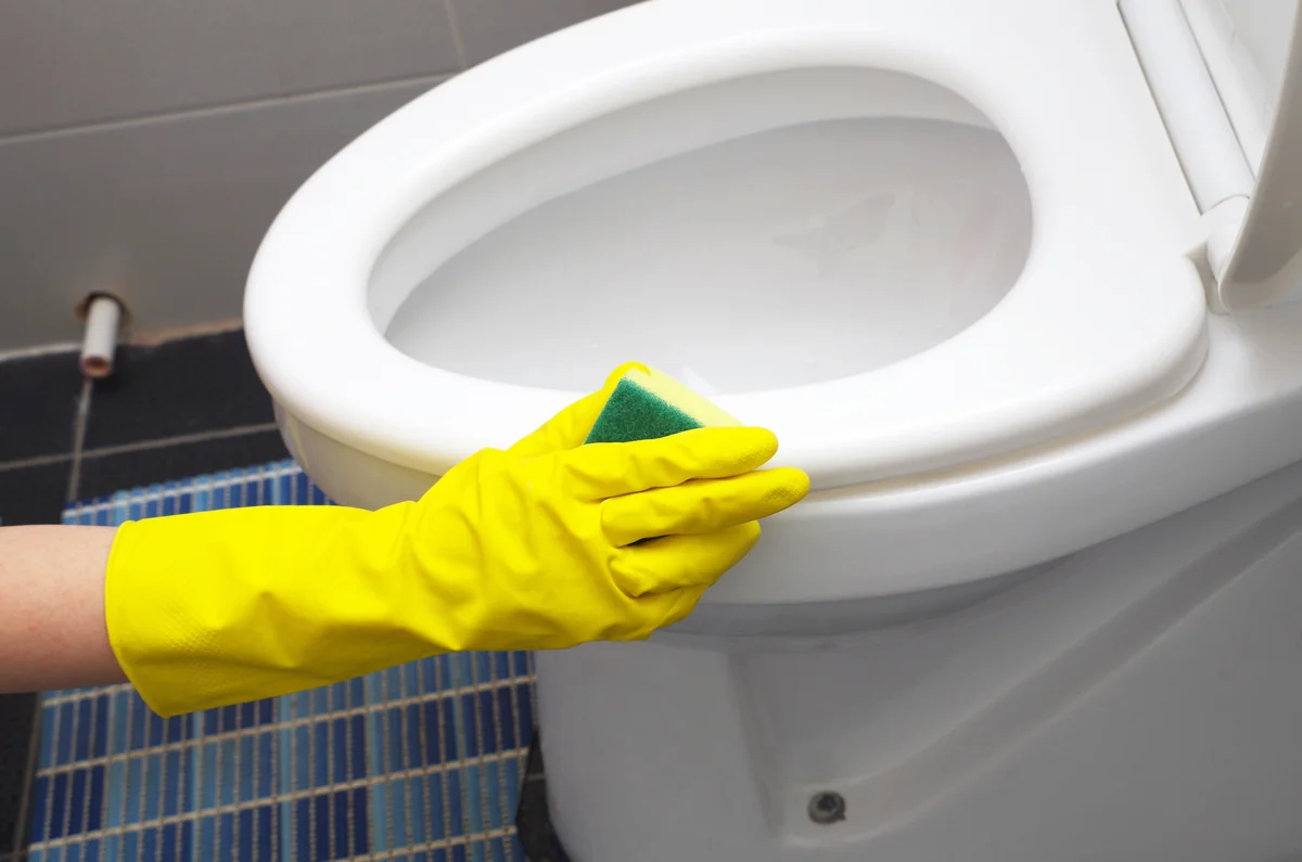 Daily cleaning the toilet