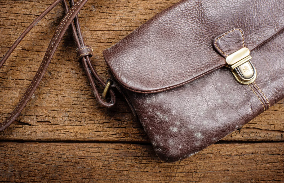 mould on old brown leather bag