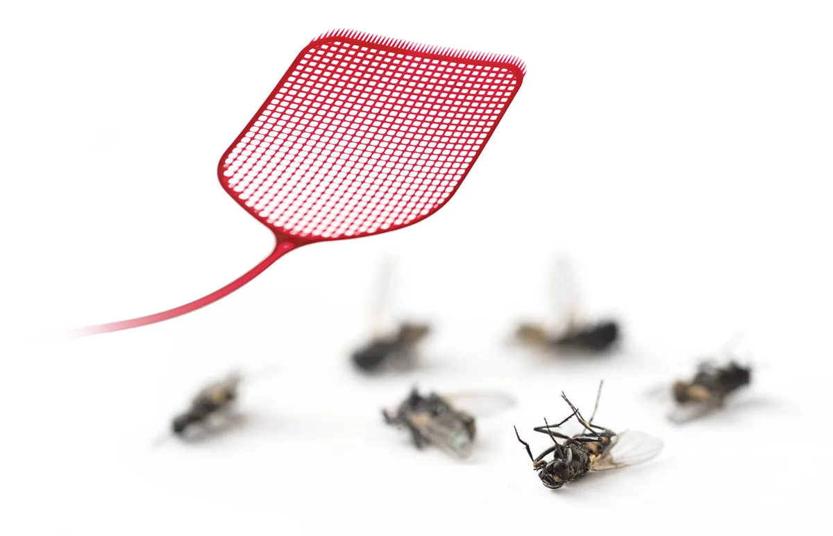 red flyswatter and dead flies