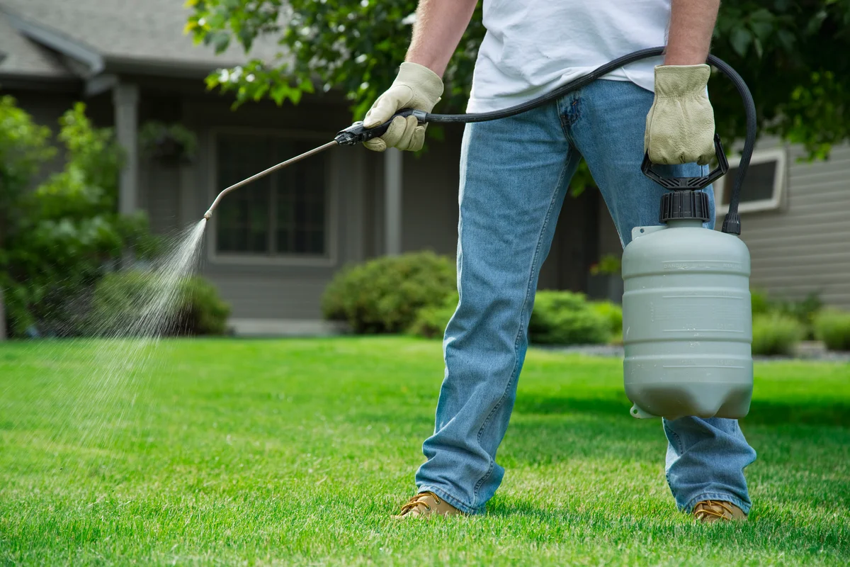 Man spraying lawn