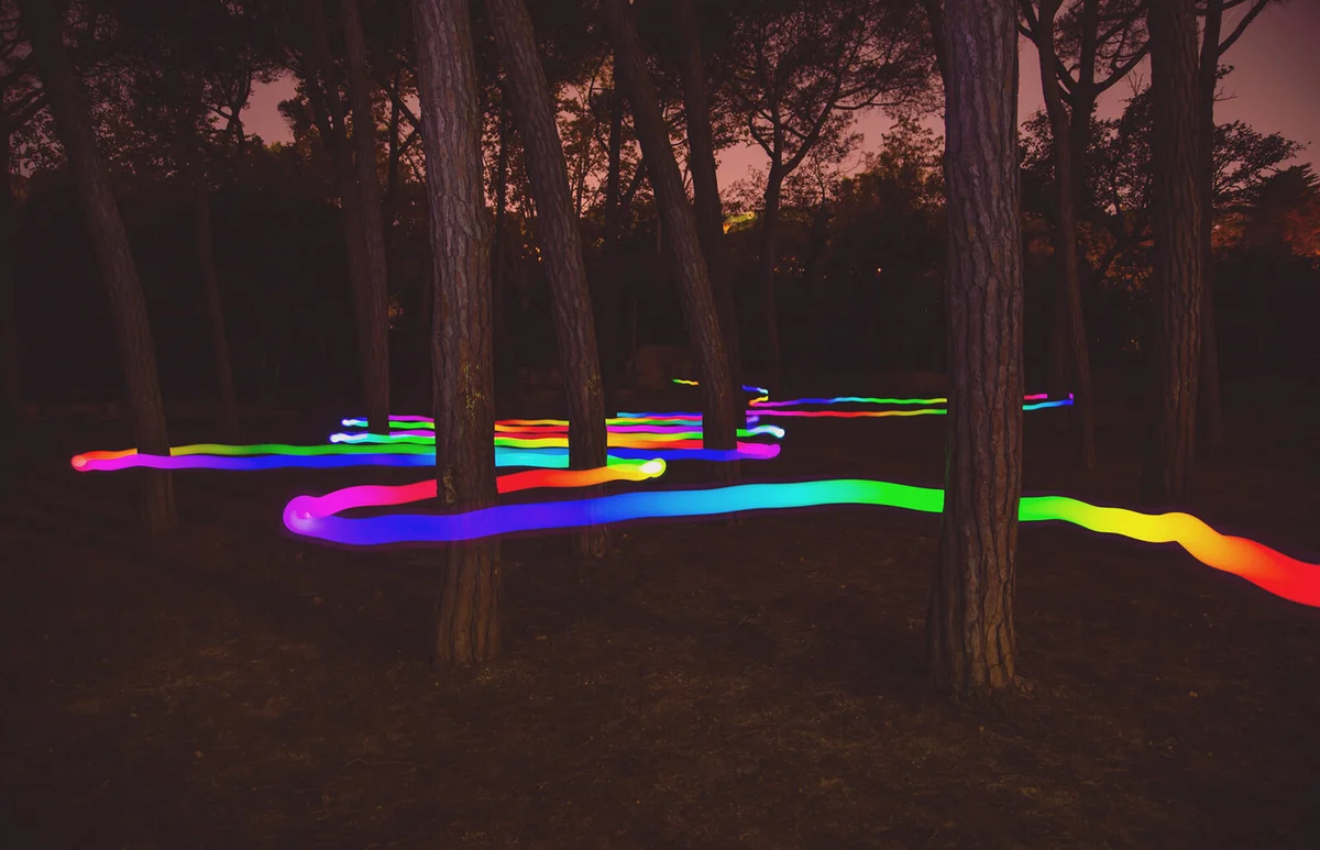 Colorful light trail following the way between pine trees at night