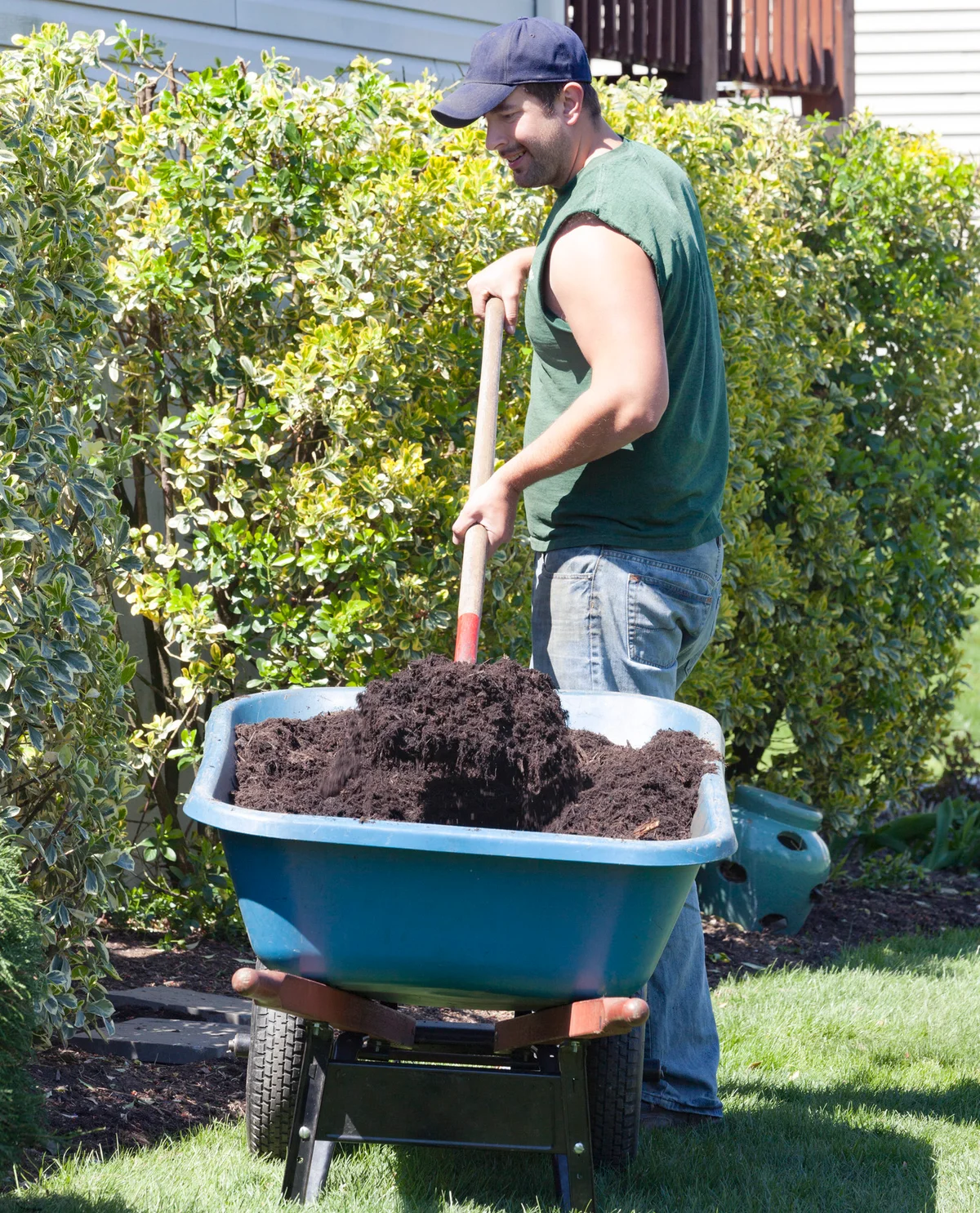 Homeowner Doing Yardwork