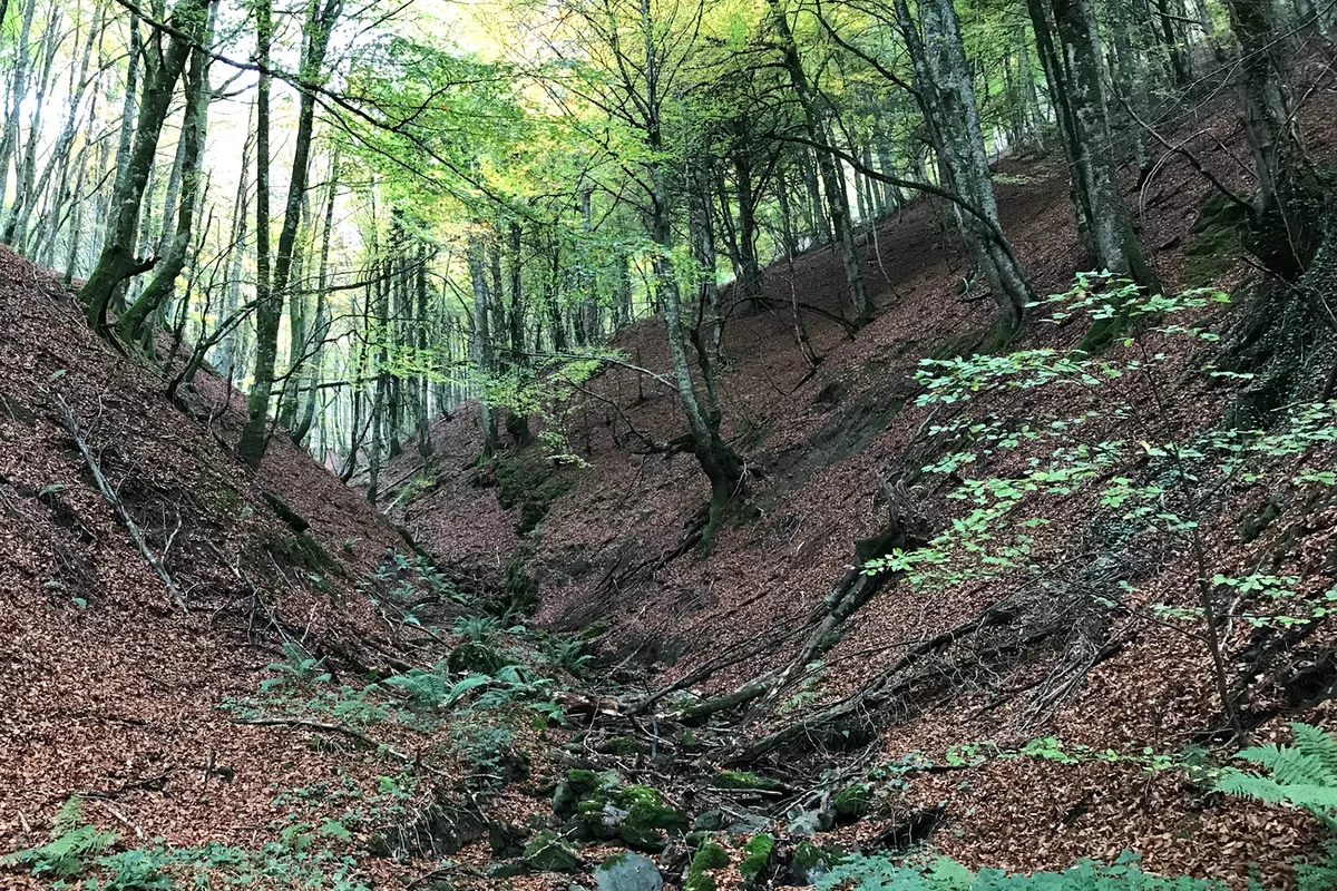Water filters through the ground