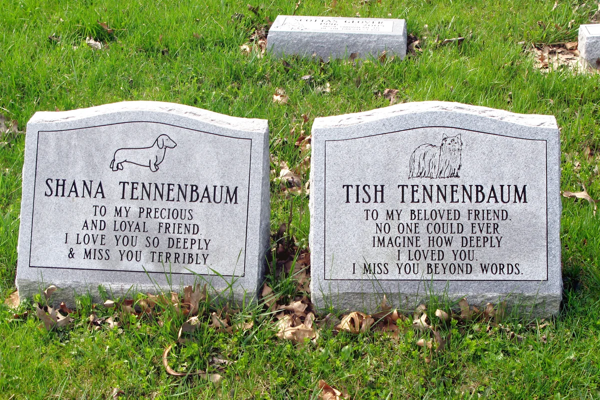 Two Dog Grave Stones