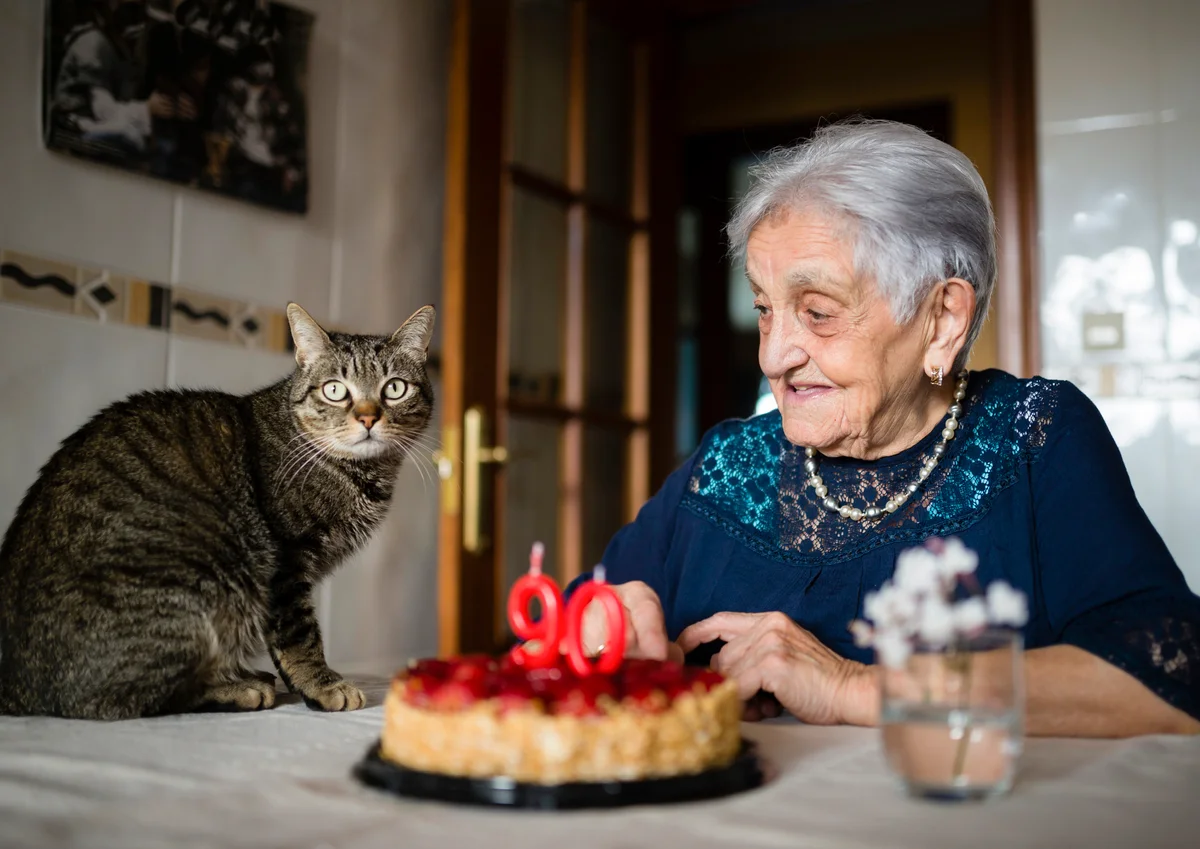 Senior woman celebrating ninetieth birthday with her cat