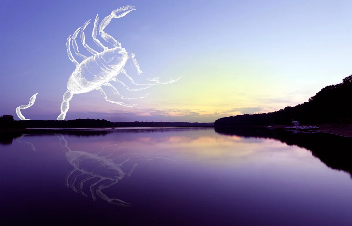 The constellation of the Scorpion appears in the twilight