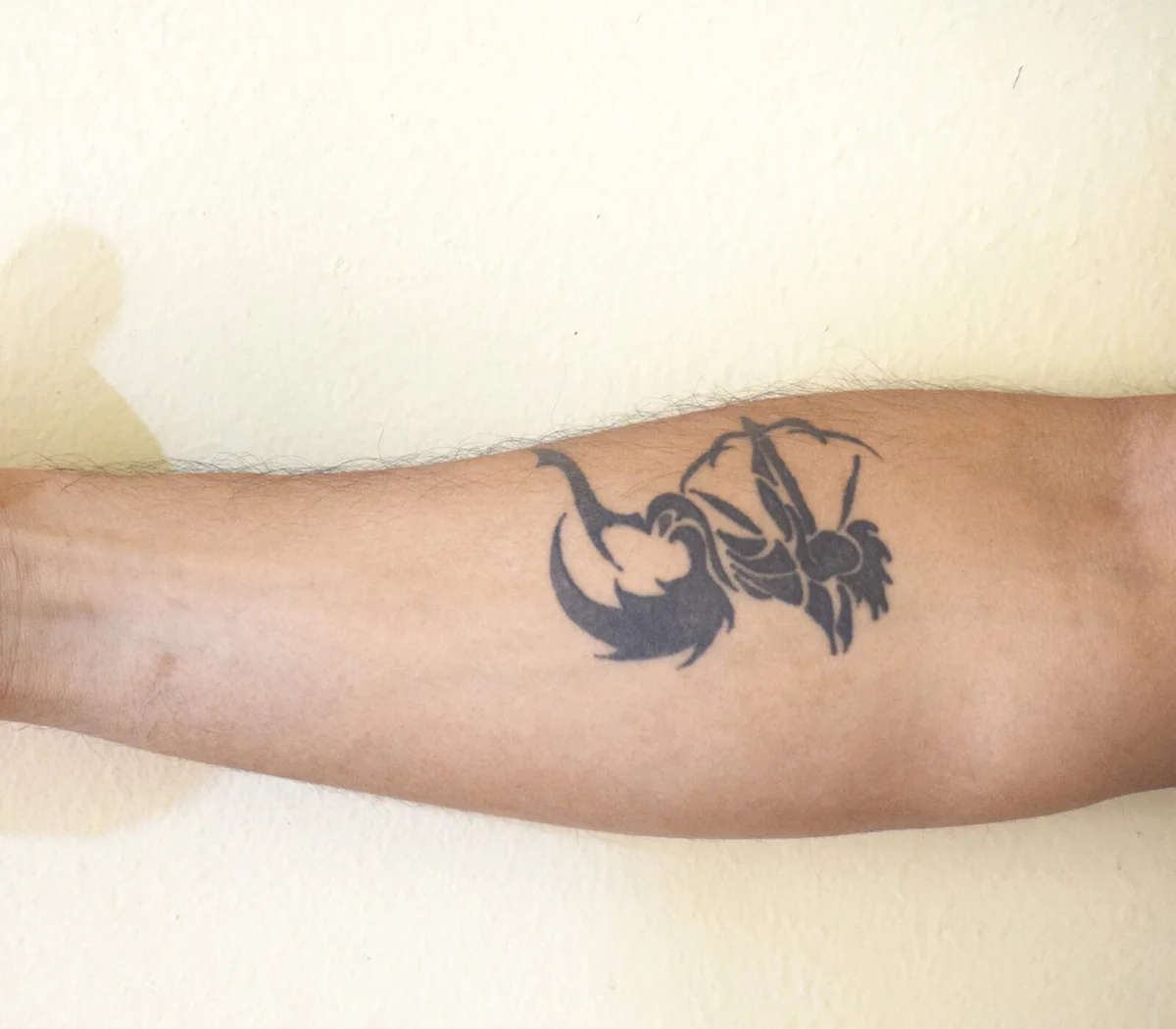 Sagittarius Tattoos For Men