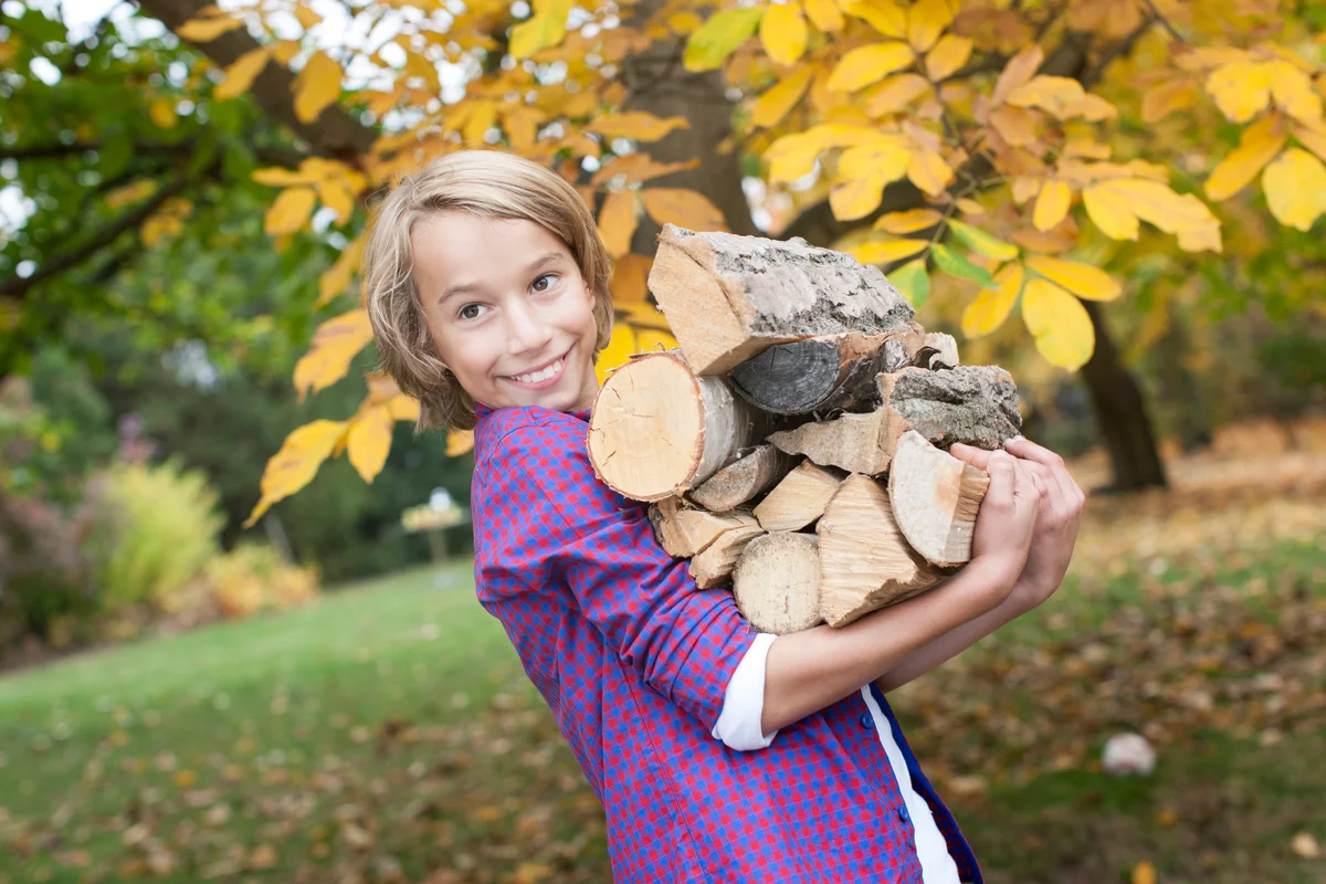 Boy holding firewood, smiling