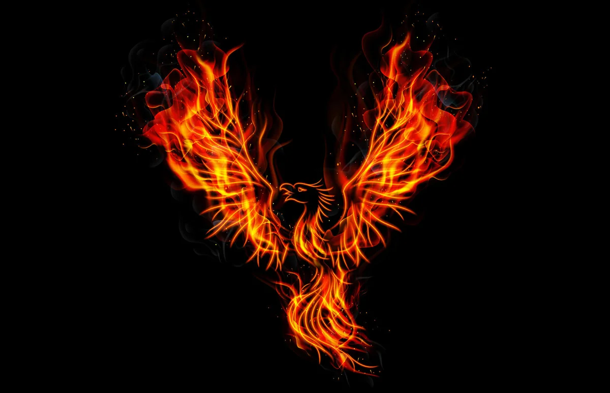 Fire burning Phoenix Bird