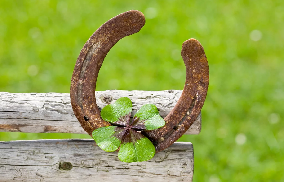 old horseshoe and a clover leaf with water drops