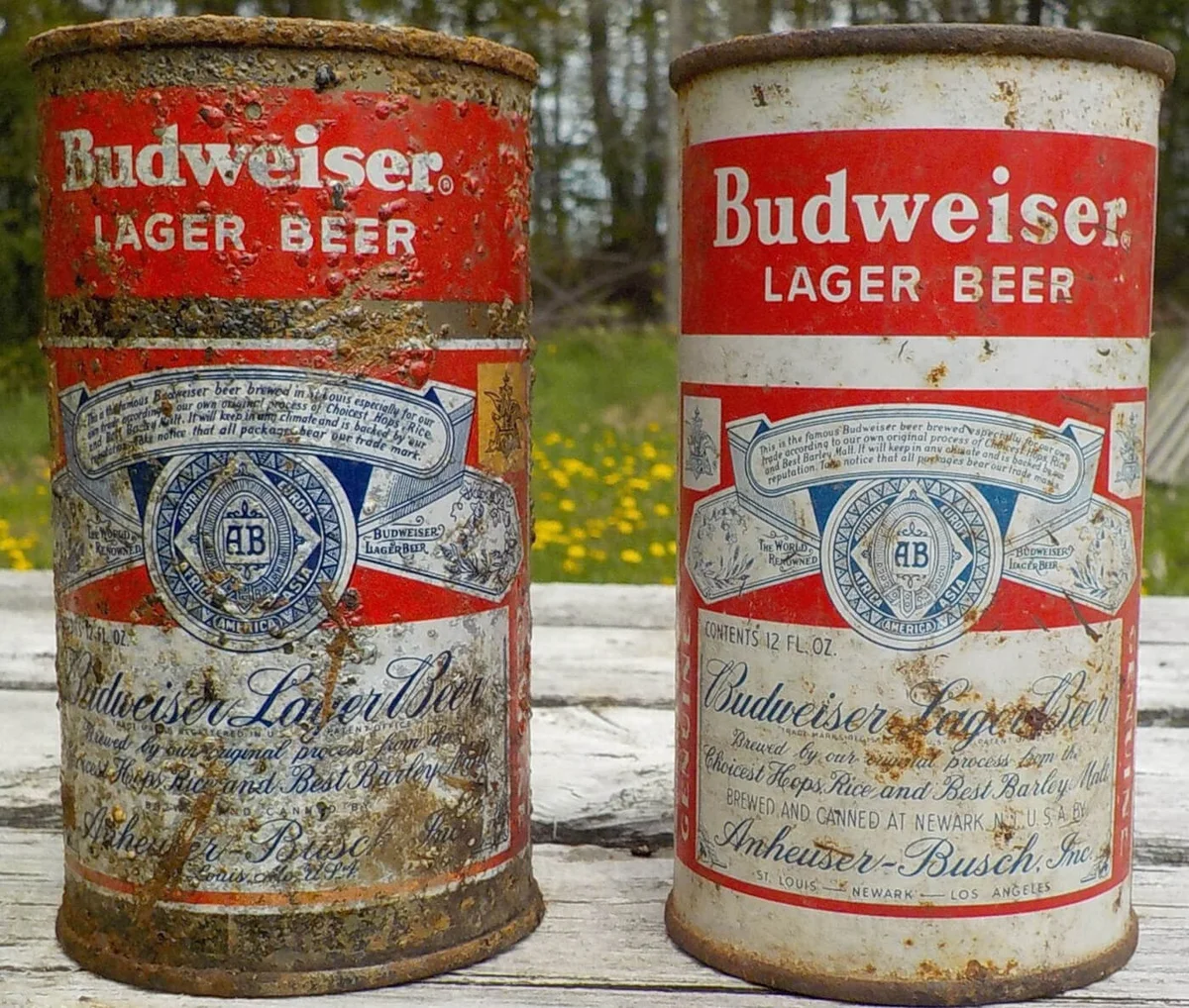 Budweiser Beer cans