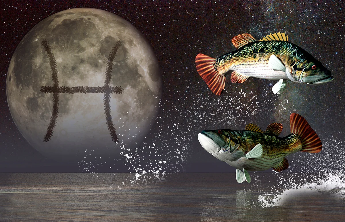 Pisces is the twelfth astrological sign of the Zodiac