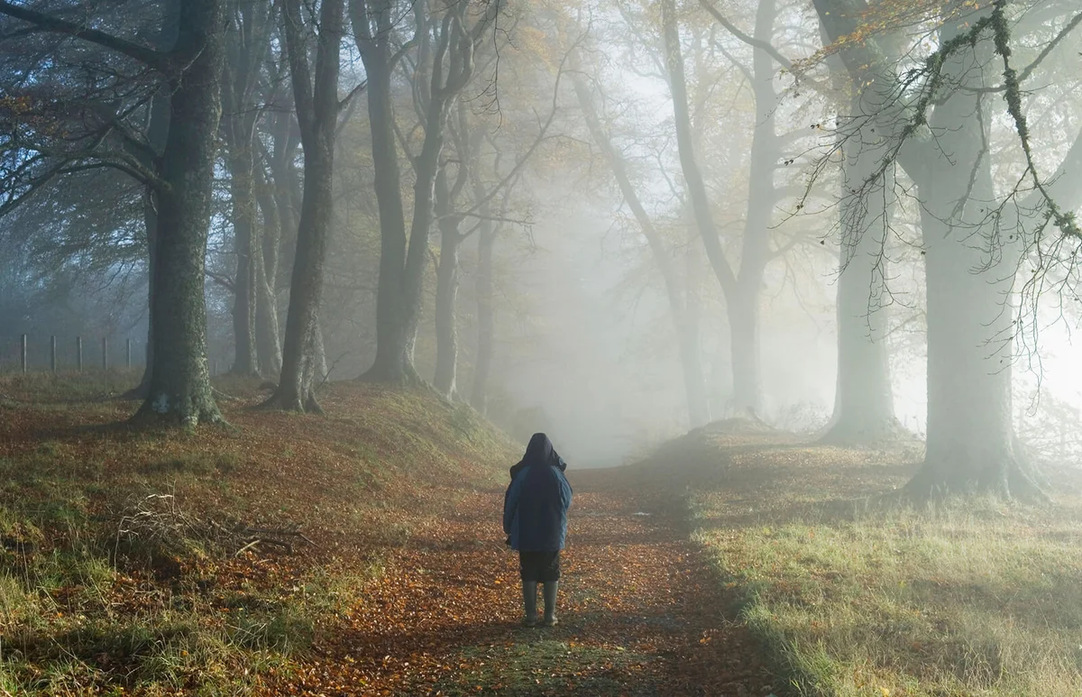 Young boy in misty woodland