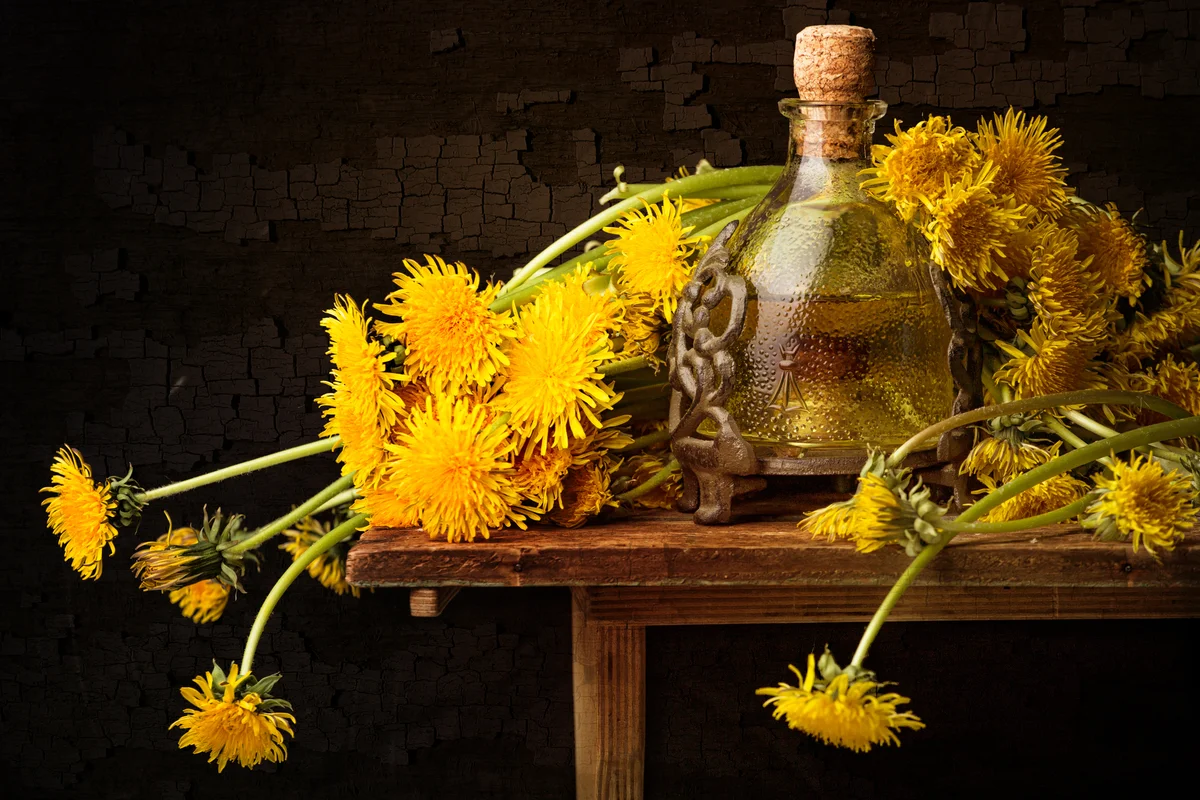 Dandelions and wine flask