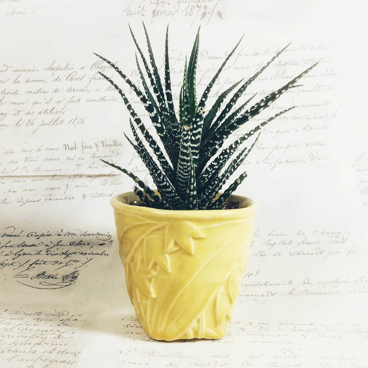 Sunny yellow McCoy Pottery planter succulent pot with leaf design