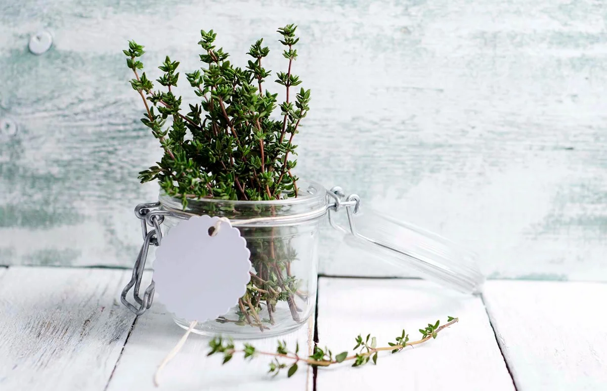 Fresh thyme in a preserving jar on wood