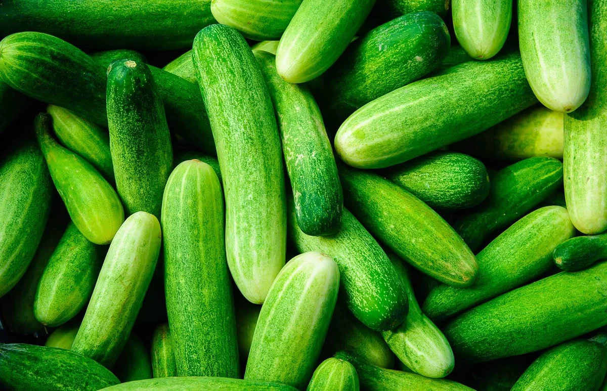 Full Frame Shot Of Cucumbers For Sale