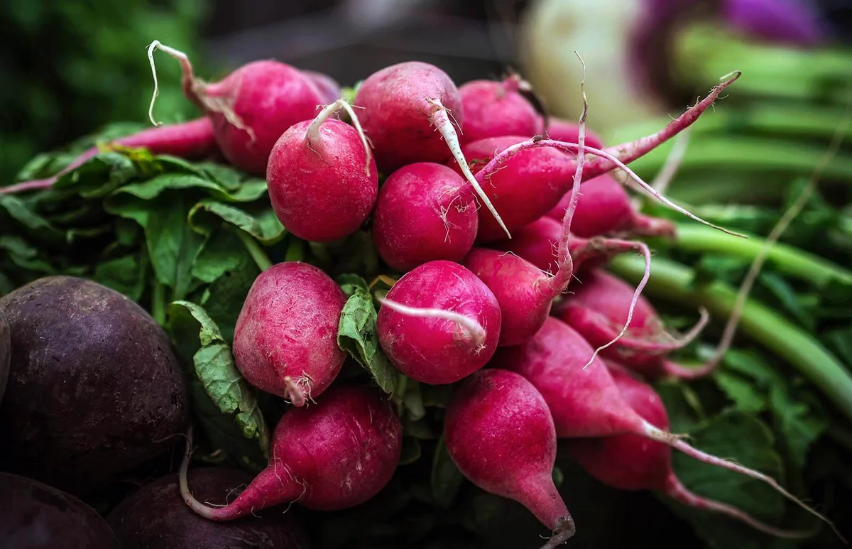 Radish on market stall