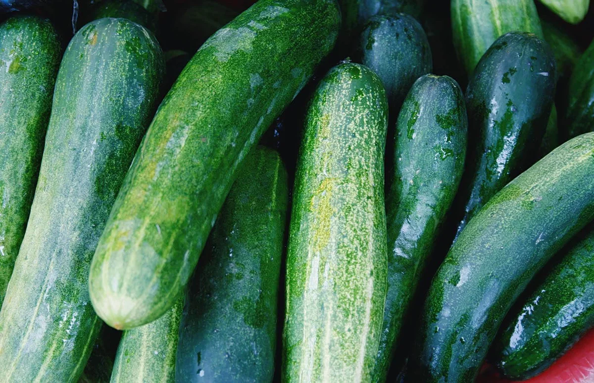 Full Frame Shot Of Wet Zucchinis At Market