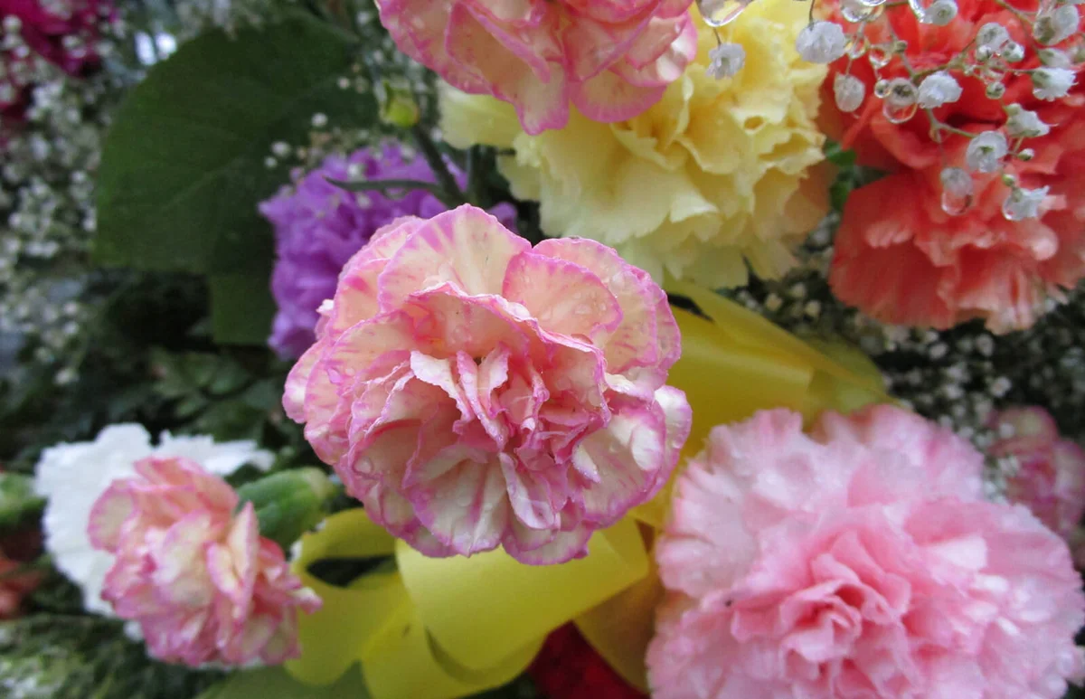 funeral flower arrangement on recent grave in cemetery